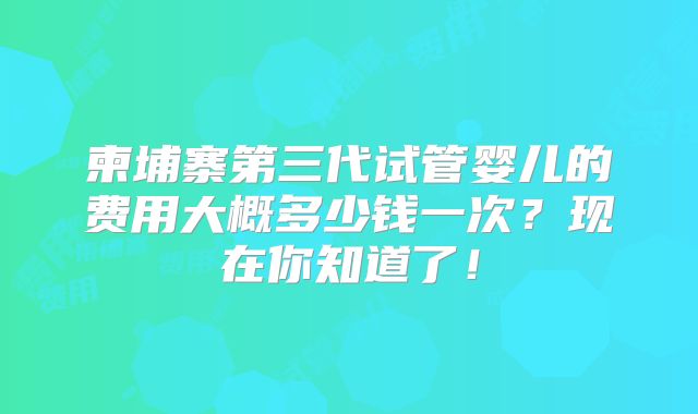 柬埔寨第三代试管婴儿的费用大概多少钱一次？现在你知道了！