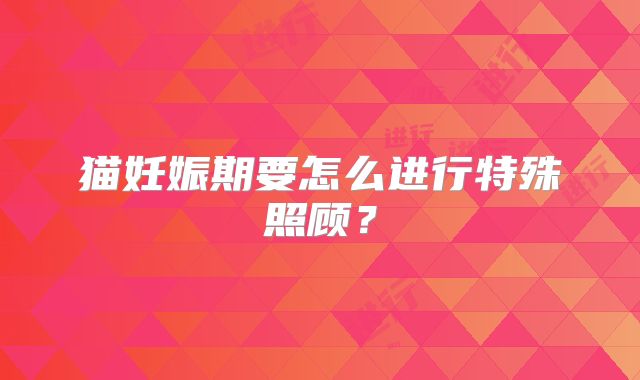 猫妊娠期要怎么进行特殊照顾？