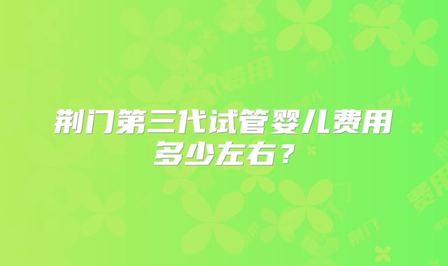 荆门第三代试管婴儿费用多少左右?
