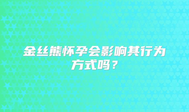 金丝熊怀孕会影响其行为方式吗？