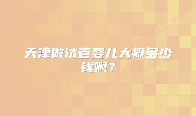 天津做试管婴儿大概多少钱啊？