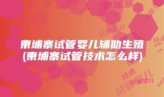 柬埔寨试管婴儿辅助生殖(柬埔寨试管技术怎么样)