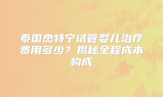 泰国杰特宁试管婴儿治疗费用多少？揭秘全程成本构成