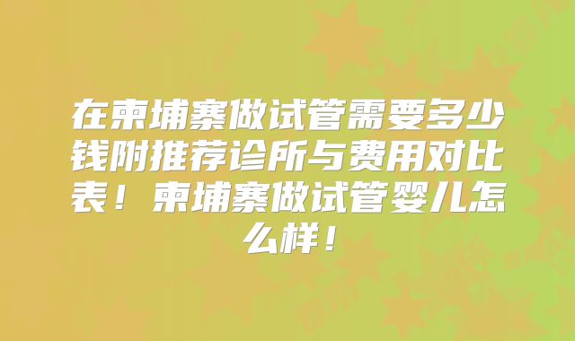 在柬埔寨做试管需要多少钱附推荐诊所与费用对比表！柬埔寨做试管婴儿怎么样！