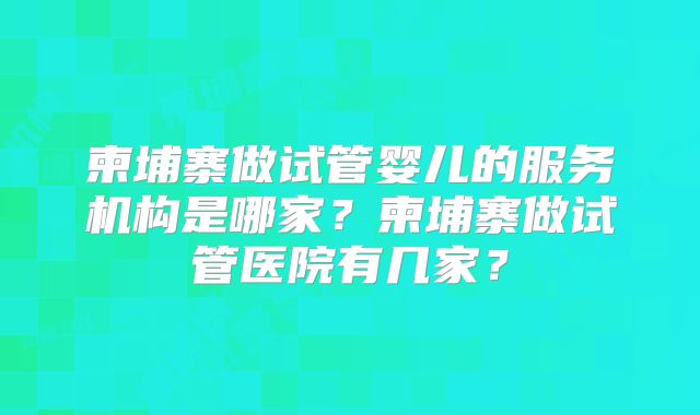 柬埔寨做试管婴儿的服务机构是哪家？柬埔寨做试管医院有几家？