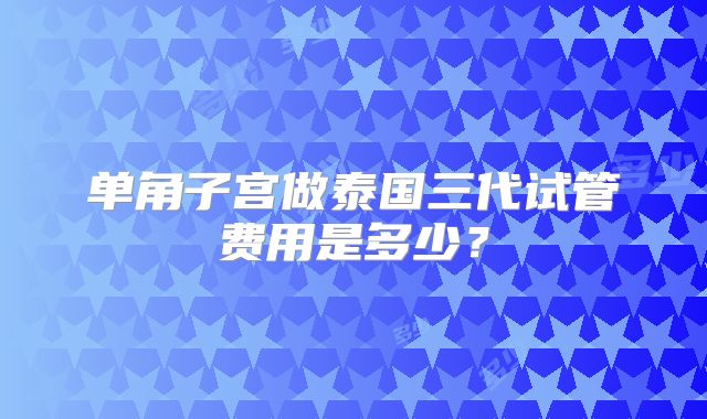 单角子宫做泰国三代试管费用是多少？