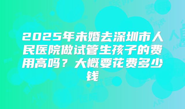 2025年未婚去深圳市人民医院做试管生孩子的费用高吗？大概要花费多少钱