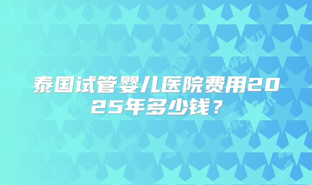 泰国试管婴儿医院费用2025年多少钱？