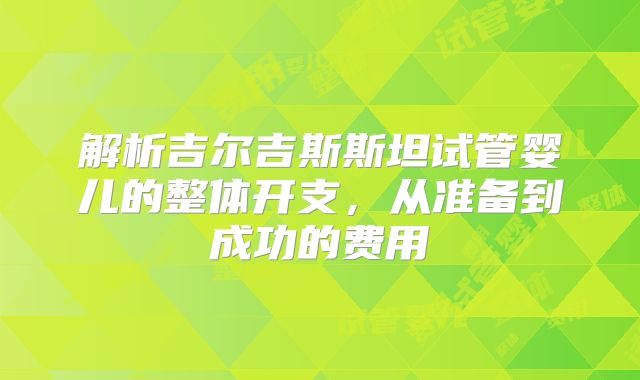 解析吉尔吉斯斯坦试管婴儿的整体开支，从准备到成功的费用
