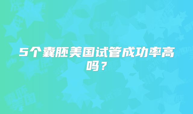 5个囊胚美国试管成功率高吗？