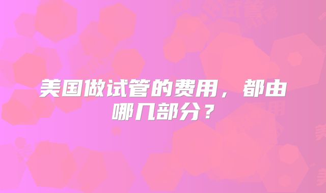 美国做试管的费用，都由哪几部分？
