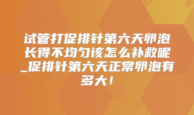 试管打促排针第六天卵泡长得不均匀该怎么补救呢_促排针第六天正常卵泡有多大！