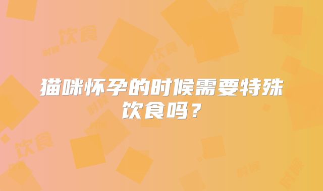 猫咪怀孕的时候需要特殊饮食吗？