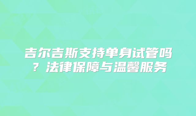 吉尔吉斯支持单身试管吗？法律保障与温馨服务