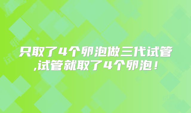 只取了4个卵泡做三代试管,试管就取了4个卵泡！