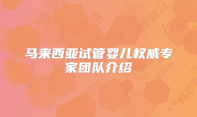 马来西亚试管婴儿权威专家团队介绍