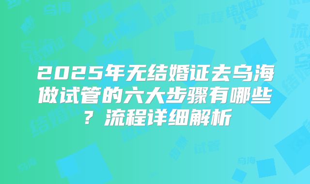 2025年无结婚证去乌海做试管的六大步骤有哪些？流程详细解析