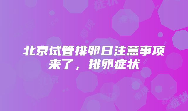 北京试管排卵日注意事项来了，排卵症状
