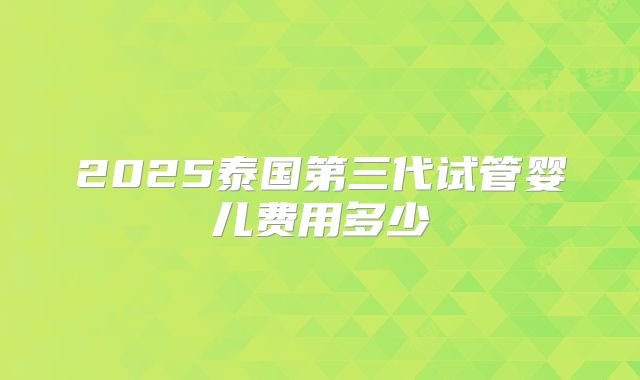 2025泰国第三代试管婴儿费用多少
