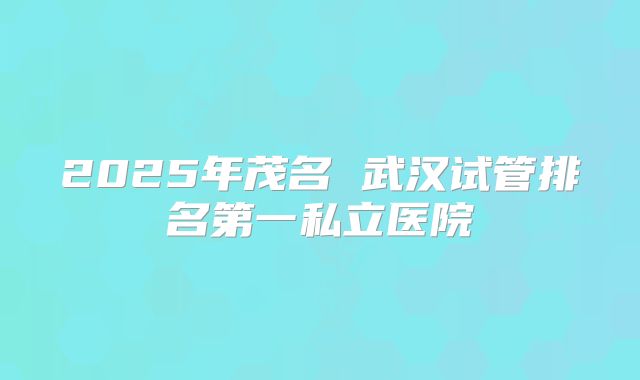 2025年茂名 武汉试管排名第一私立医院