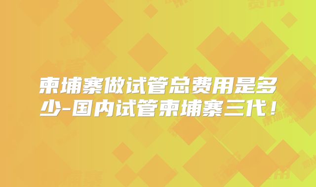 柬埔寨做试管总费用是多少-国内试管柬埔寨三代！