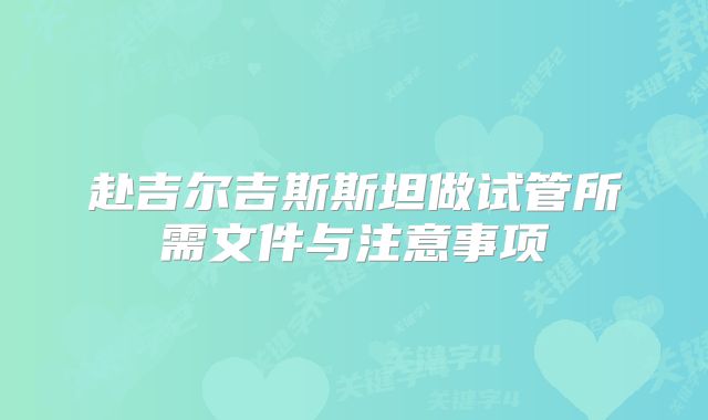 赴吉尔吉斯斯坦做试管所需文件与注意事项