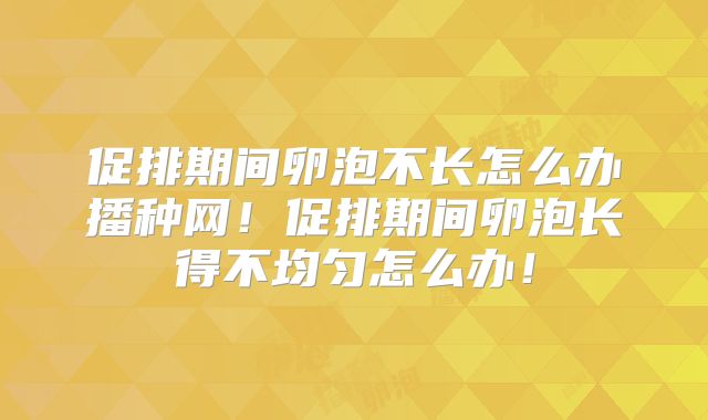 促排期间卵泡不长怎么办播种网！促排期间卵泡长得不均匀怎么办！