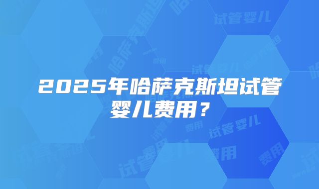2025年哈萨克斯坦试管婴儿费用？