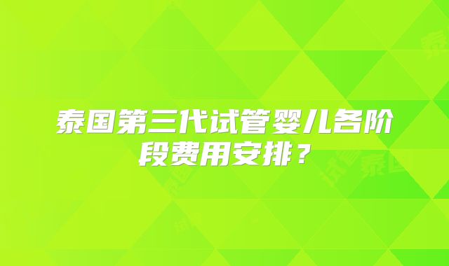 泰国第三代试管婴儿各阶段费用安排？