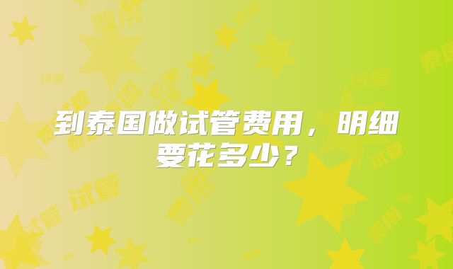 到泰国做试管费用，明细要花多少？