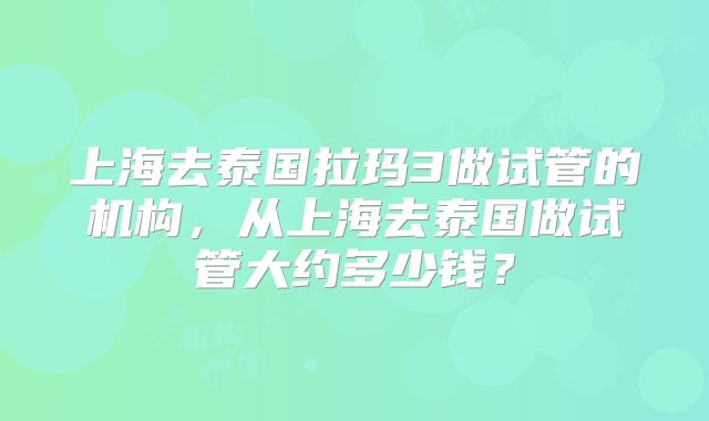 上海去泰国拉玛3做试管的机构,从上海去泰国做试管大约多少钱?