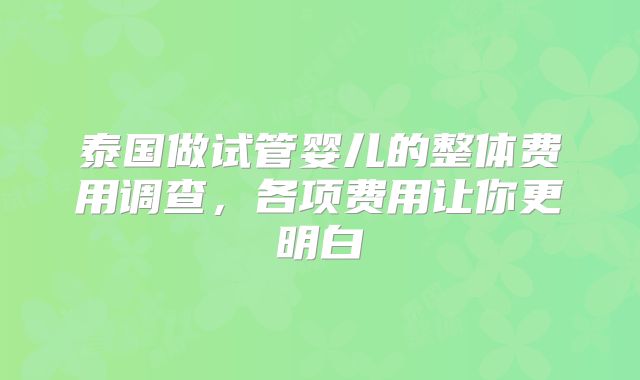 泰国做试管婴儿的整体费用调查，各项费用让你更明白