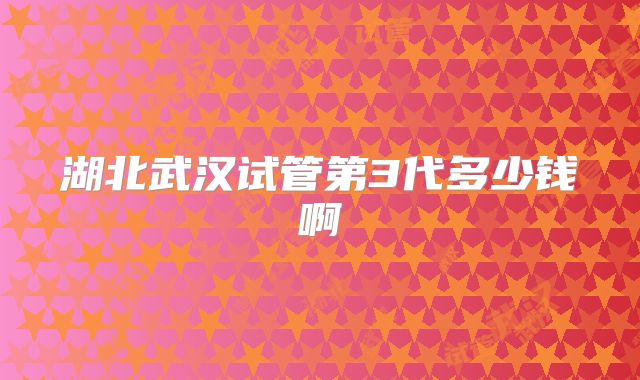 湖北武汉试管第3代多少钱啊