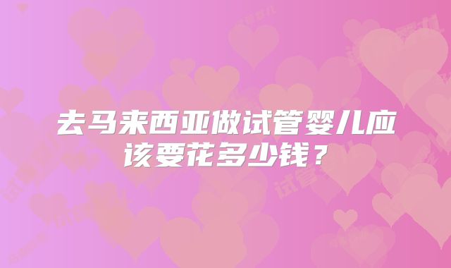 去马来西亚做试管婴儿应该要花多少钱？