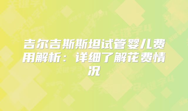 吉尔吉斯斯坦试管婴儿费用解析：详细了解花费情况
