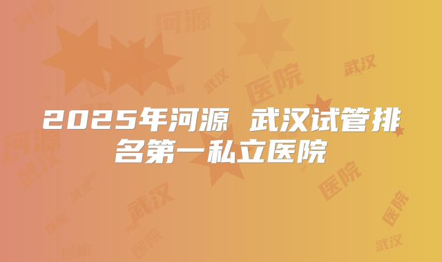 2025年河源 武汉试管排名第一私立医院
