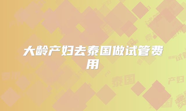 大龄产妇去泰国做试管费用