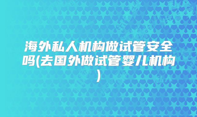 海外私人机构做试管安全吗(去国外做试管婴儿机构)