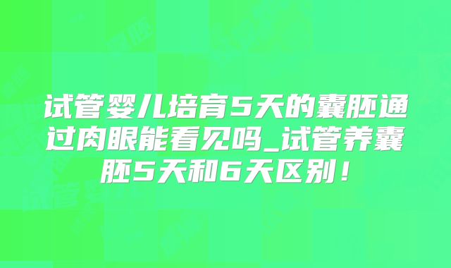 试管婴儿培育5天的囊胚通过肉眼能看见吗_试管养囊胚5天和6天区别！