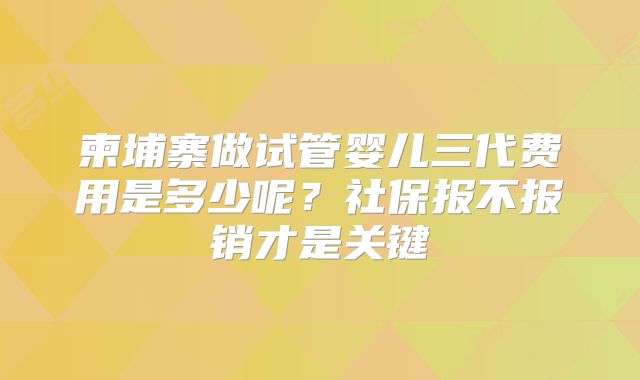 柬埔寨做试管婴儿三代费用是多少呢?社保报不报销才是关键