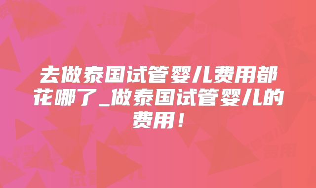 去做泰国试管婴儿费用都花哪了_做泰国试管婴儿的费用！
