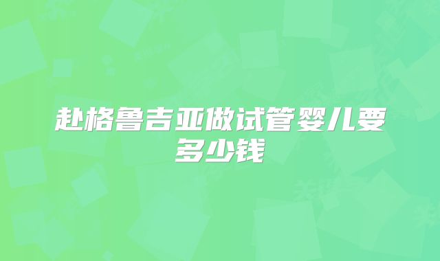 赴格鲁吉亚做试管婴儿要多少钱
