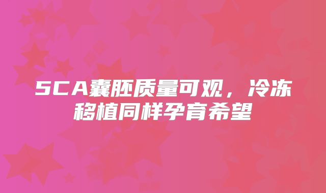 5CA囊胚质量可观，冷冻移植同样孕育希望