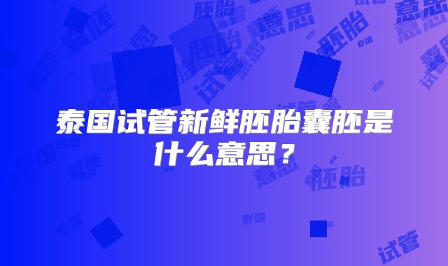 泰国试管新鲜胚胎囊胚是什么意思？