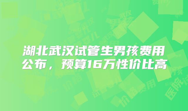 湖北武汉试管生男孩费用公布,预算16万性价比高