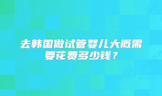 去韩国做试管婴儿大概需要花费多少钱？