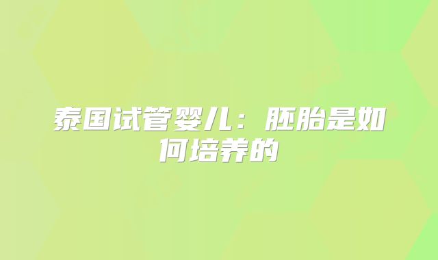 泰国试管婴儿：胚胎是如何培养的
