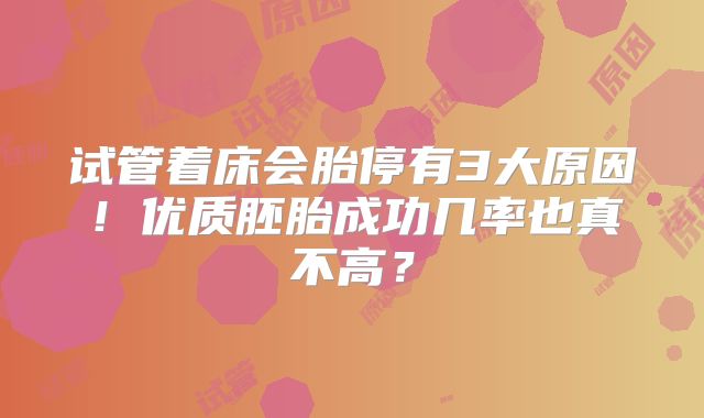 试管着床会胎停有3大原因！优质胚胎成功几率也真不高？