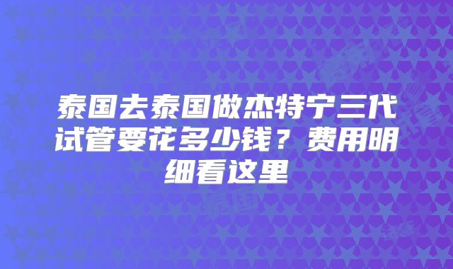 泰国去泰国做杰特宁三代试管要花多少钱?费用明细看这里