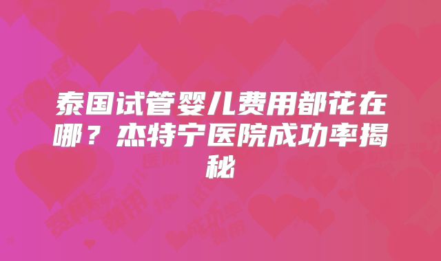 泰国试管婴儿费用都花在哪？杰特宁医院成功率揭秘